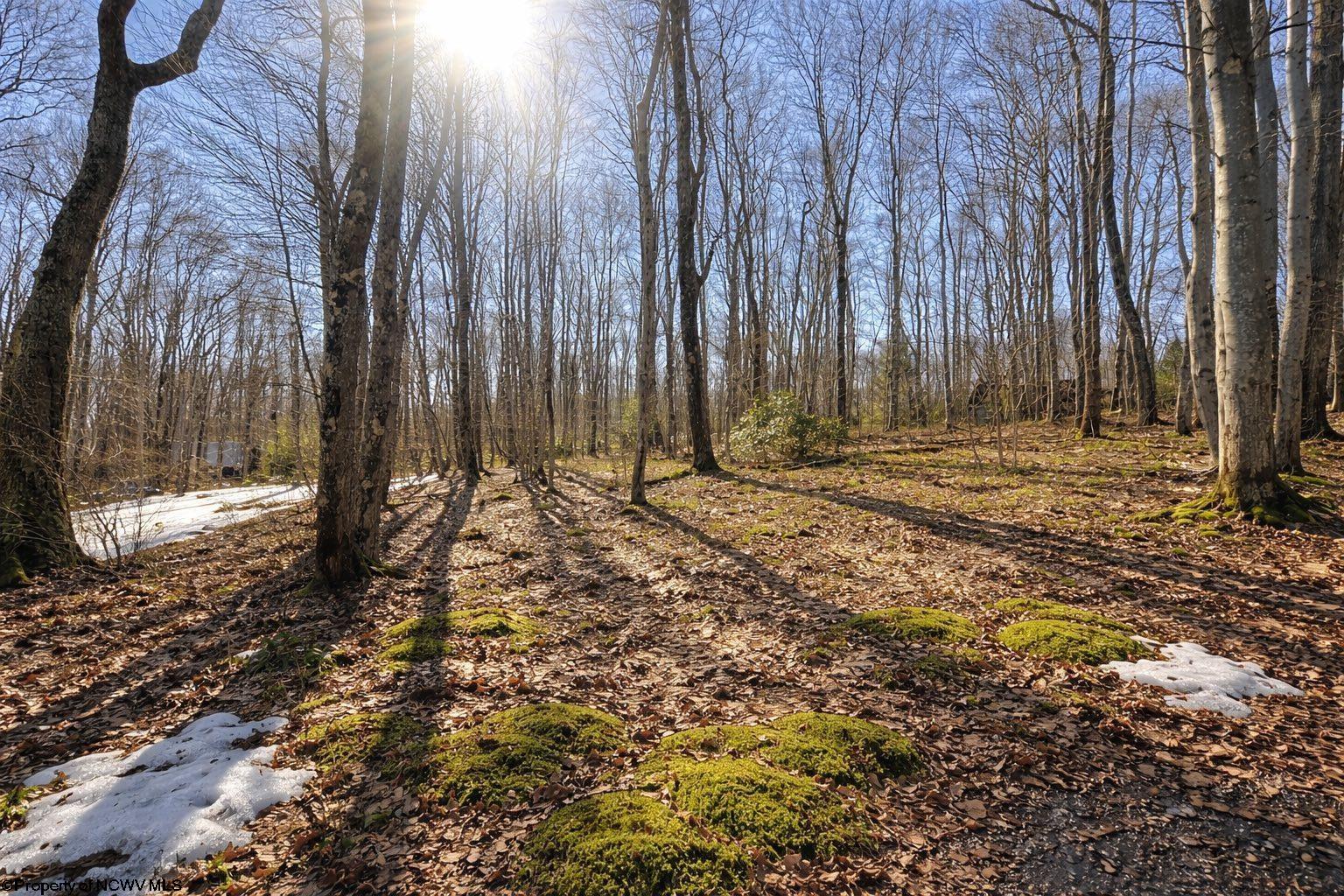 0 Redwood Drive Terra Alta WV 26764