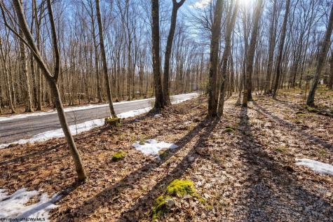 0 Redwood Drive Terra Alta WV 26764