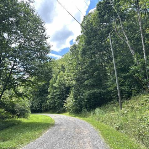 0 Big Bend Drive Kingwood WV 26537