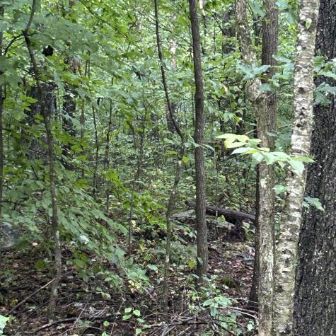 0 Big Bend Drive Kingwood WV 26537