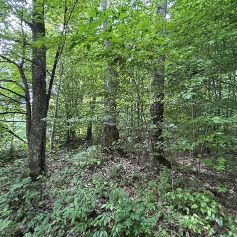 0 Big Bend Drive Kingwood WV 26537