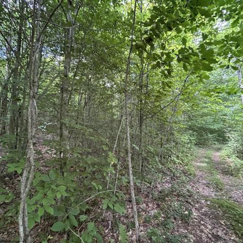 0 Big Bend Drive Kingwood WV 26537
