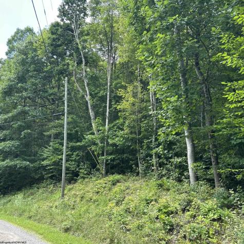 0 Big Bend Drive Kingwood WV 26537