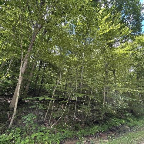 0 Big Bend Drive Kingwood WV 26537