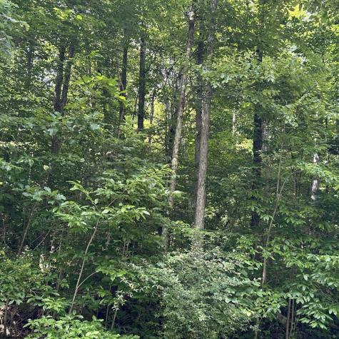 0 Big Bend Drive Kingwood WV 26537