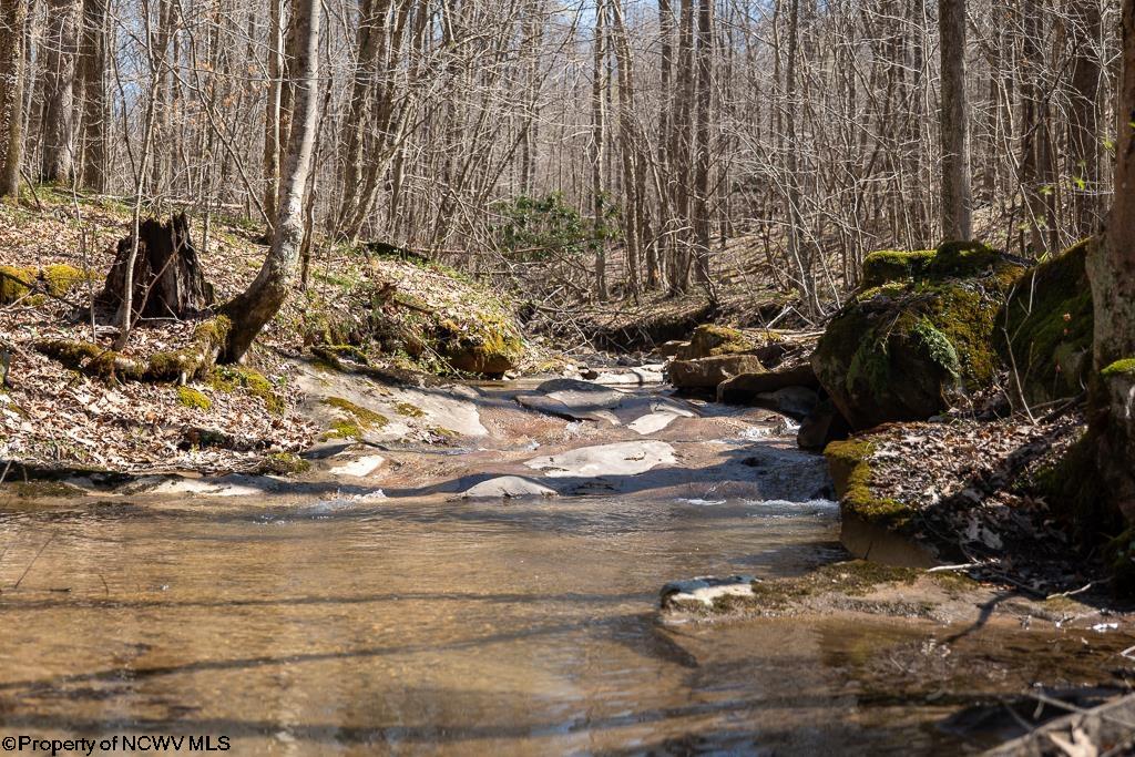 1 Fairfax Mine Road Kingwood WV 26537