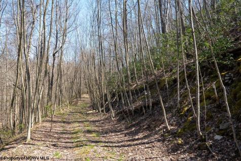 1 Fairfax Mine Road Kingwood WV 26537