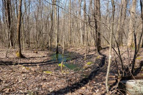 1 Fairfax Mine Road Kingwood WV 26537