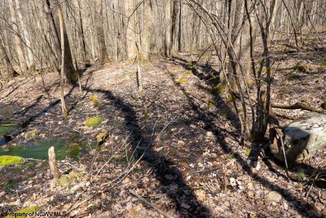 1 Fairfax Mine Road Kingwood WV 26537