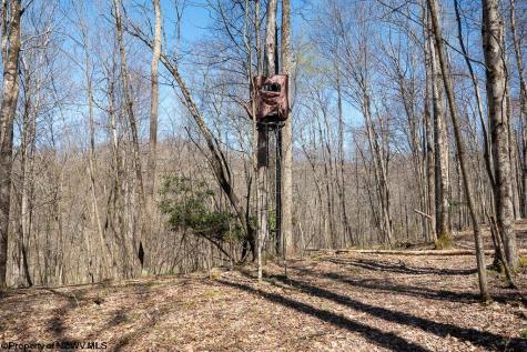 1 Fairfax Mine Road Kingwood WV 26537