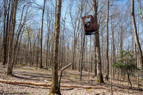 1 Fairfax Mine Road Kingwood WV 26537