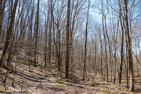 1 Fairfax Mine Road Kingwood WV 26537