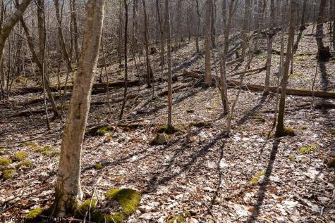 1 Fairfax Mine Road Kingwood WV 26537
