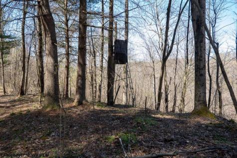 1 Fairfax Mine Road Kingwood WV 26537