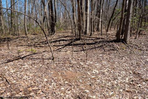 1 Fairfax Mine Road Kingwood WV 26537