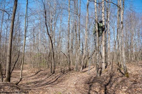 1 Fairfax Mine Road Kingwood WV 26537