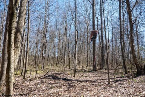 1 Fairfax Mine Road Kingwood WV 26537