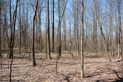 1 Fairfax Mine Road Kingwood WV 26537