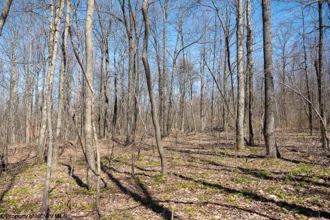 1 Fairfax Mine Road Kingwood WV 26537