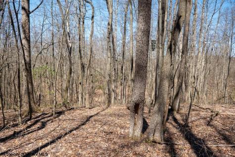1 Fairfax Mine Road Kingwood WV 26537