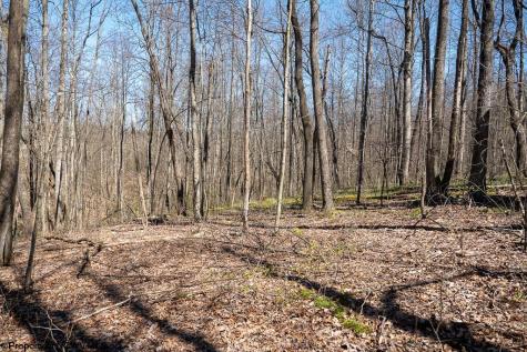 1 Fairfax Mine Road Kingwood WV 26537