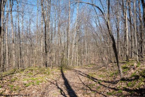 1 Fairfax Mine Road Kingwood WV 26537