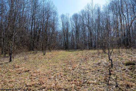 1 Fairfax Mine Road Kingwood WV 26537