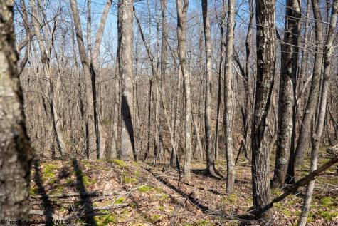 1 Fairfax Mine Road Kingwood WV 26537