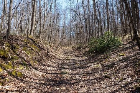 1 Fairfax Mine Road Kingwood WV 26537