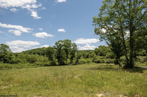2 Lake Island Drive Belington WV 26250