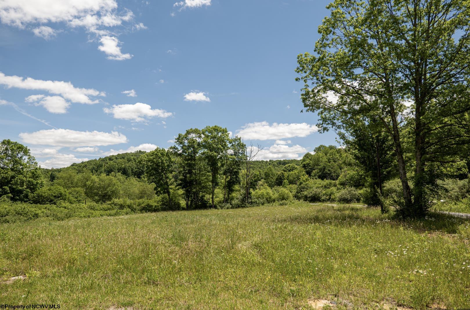 2 Lake Island Drive Belington WV 26250