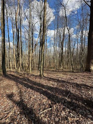 1870 Ludwig Road Grafton WV 26354