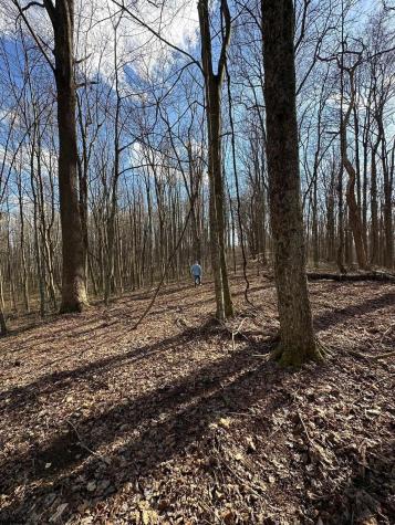 1870 Ludwig Road Grafton WV 26354