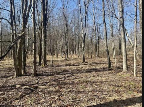 1870 Ludwig Road Grafton WV 26354