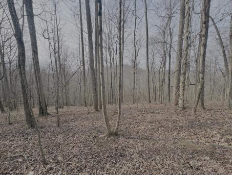 0 Pine Grove Road Fairmont WV 26554