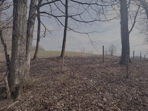 0 Pine Grove Road Fairmont WV 26554