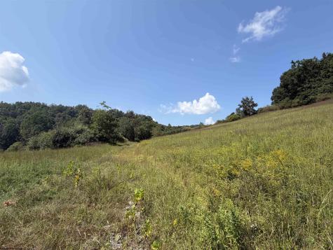 0 Us Hwy 19 South Walkersville WV 26447