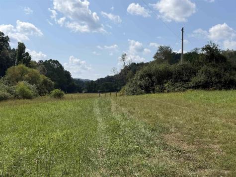 0 Us Hwy 19 South Walkersville WV 26447