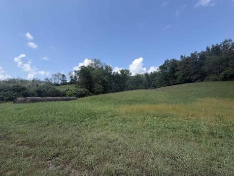 0 Us Hwy 19 South Walkersville WV 26447