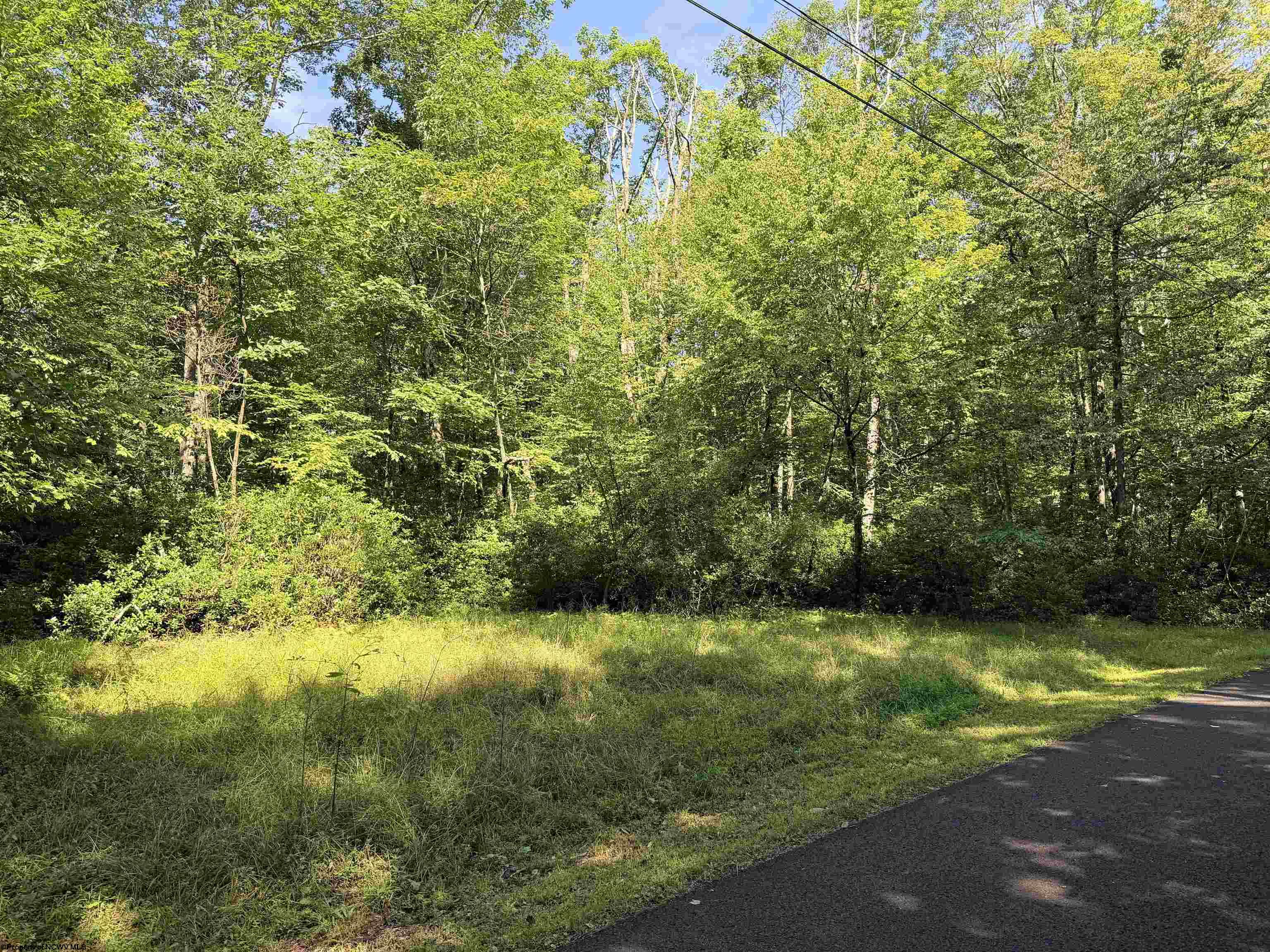 122 Redwood Drive Terra Alta WV 26764