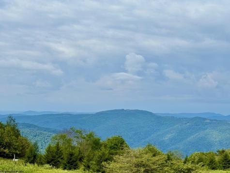 46 Thunderstruck Road Harman WV 26270-0000