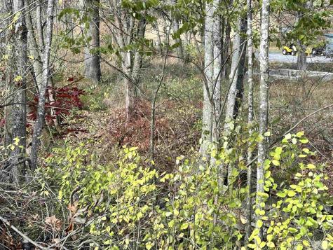 75 Upper Isner Creek Road Elkins WV 26241