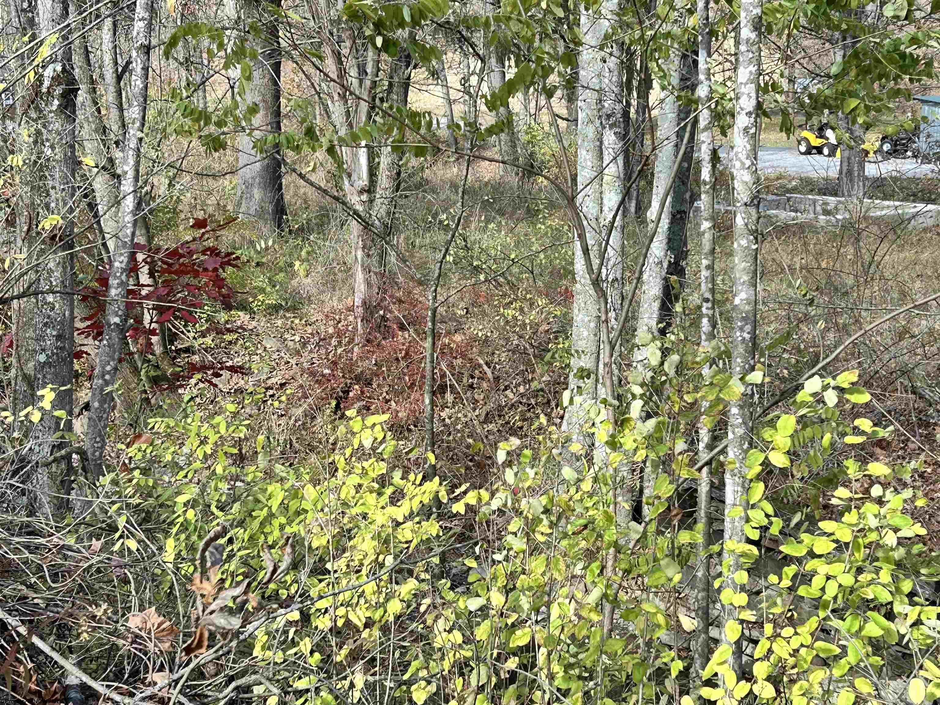 75 Upper Isner Creek Road Elkins WV 26241