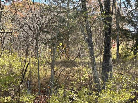 75 Upper Isner Creek Road Elkins WV 26241