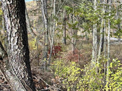 75 Upper Isner Creek Road Elkins WV 26241