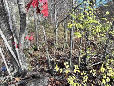 75 Upper Isner Creek Road Elkins WV 26241