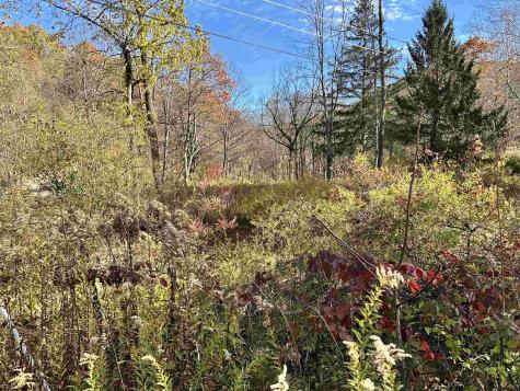 75 Upper Isner Creek Road Elkins WV 26241