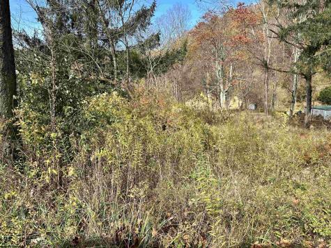 75 Upper Isner Creek Road Elkins WV 26241