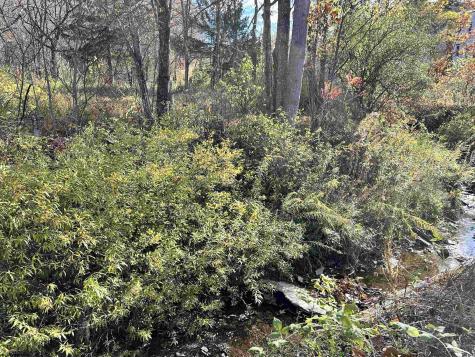 75 Upper Isner Creek Road Elkins WV 26241