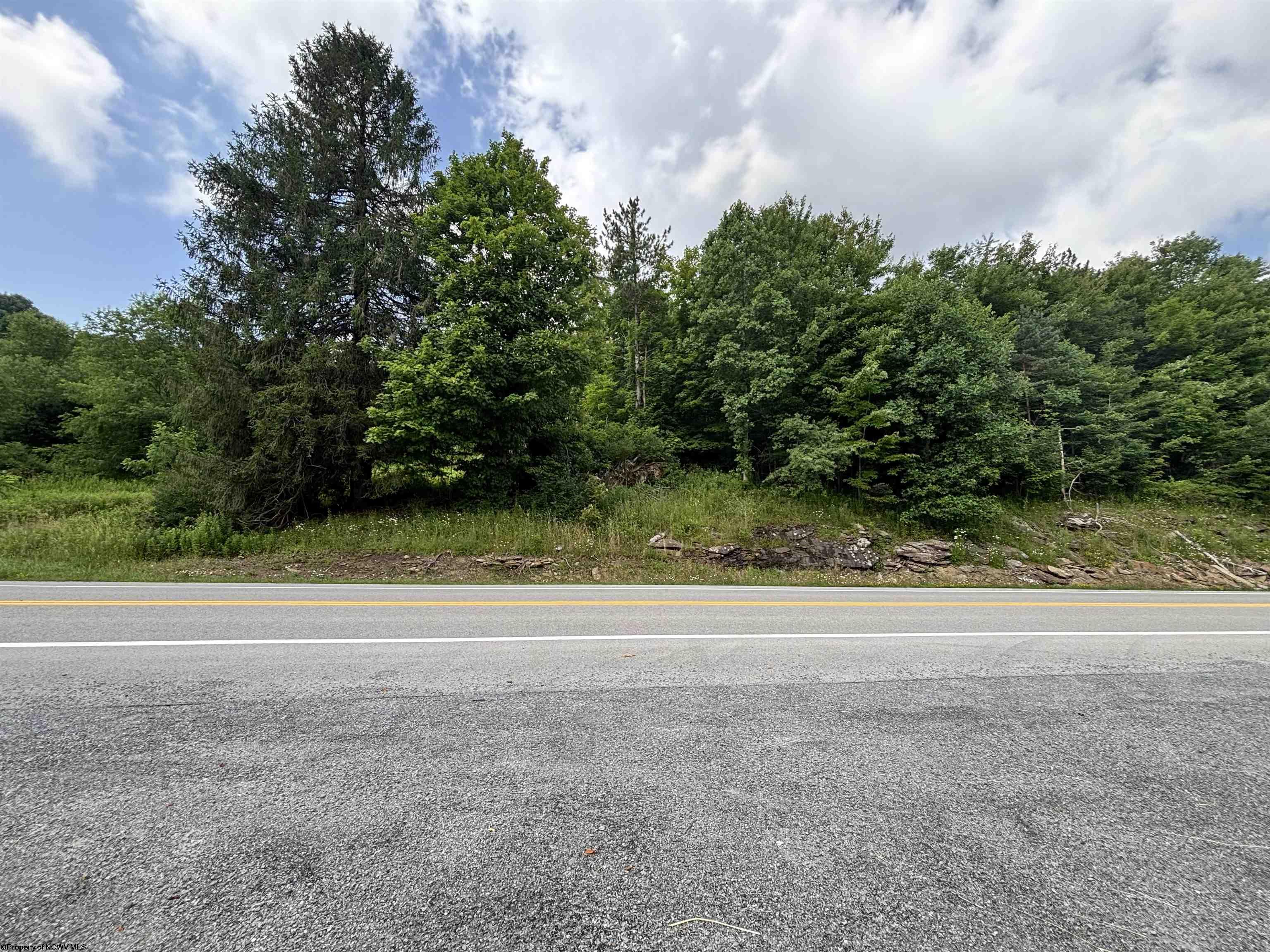0 Barbour County Highway Belington WV 26250